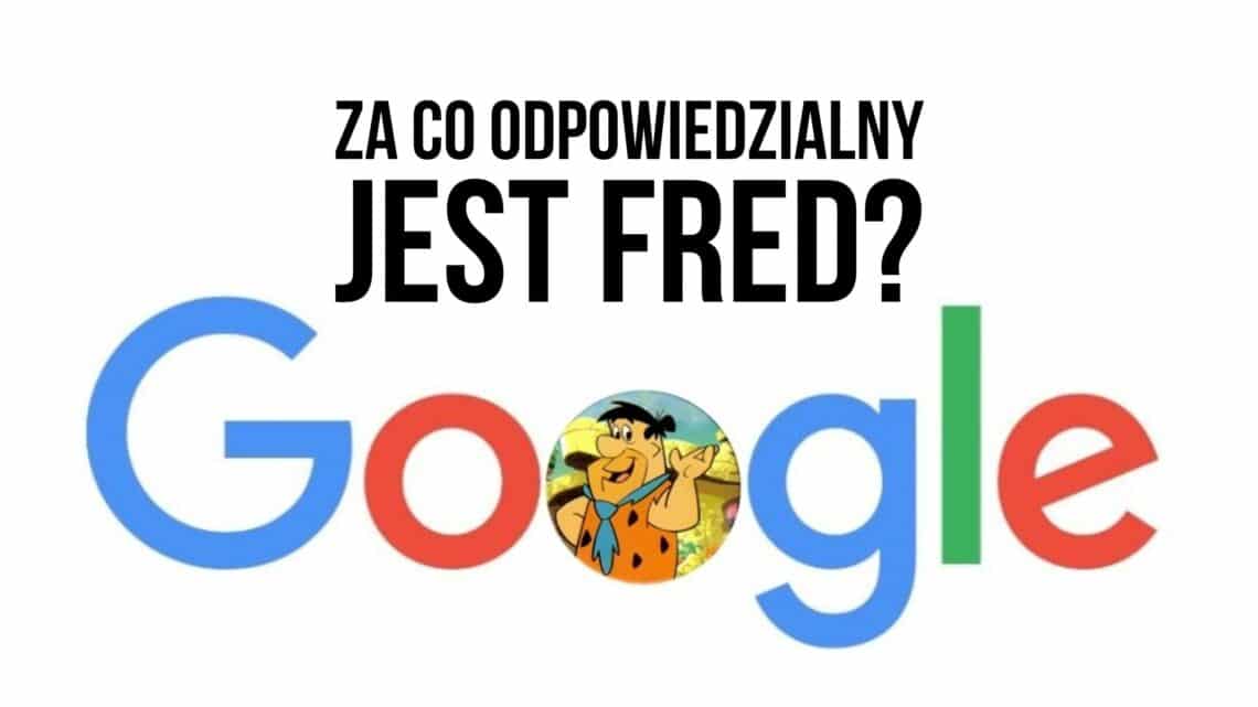 Nowa aktualizacja Google Fred, czyli spore zamieszanie w wynikach organicznych