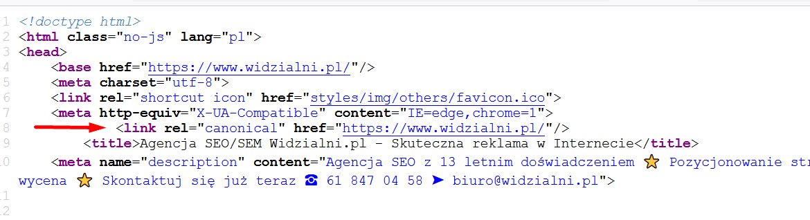 Adres kanonicznyw kodzie strony